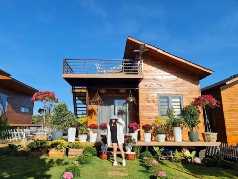 TOUR TÀ ĐÙNG – BẢO LỘC – TROPICANA 2N2Đ