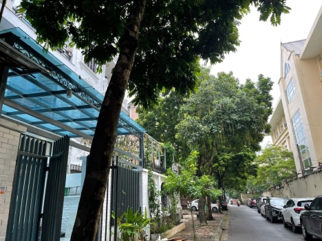 CỰC HIẾM, BIỆT THỰ LÃNH ĐẠO CẤP CAO QUÂN ĐỘI. TRẦN BÌNH, CẦU GIẤY, NHÀ 105M2, 4T, MT6.6M, GIÁ 24.5