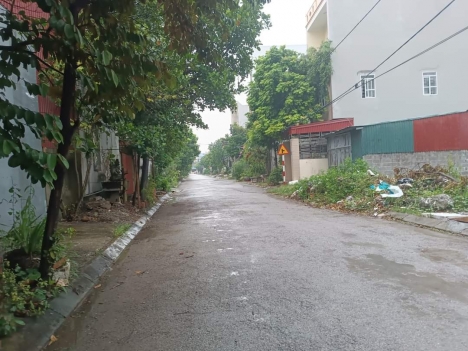 Ngõ 51  Bùi Phổ Tân Thành  Dương Kinh  HP 2,x tỷ lô góc