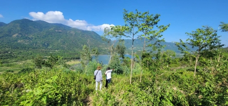 Bán Lô Đất View Hồ Am Chúa DIên Điền Diên Khanh Thích Hợp Làm cái HOmmestay Nho nhỏ