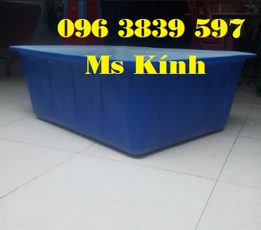 Thùng nhựa chữ nhật 500 lít 1 lớp, 2 lớp nuôi cá  - 096 3839 597 Ms Kính