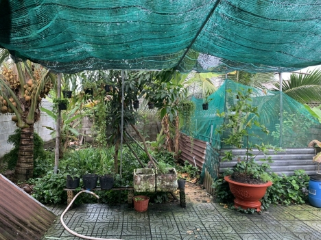 Chính chủ bán nhà vườn 300m2 đất xã Trung Lập Thượng Củ Chi