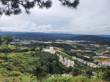 Cần bán đất rộng view đẹp tại Trại Mát, Đà Lạt 3000m2 giá 15.6 tỷ