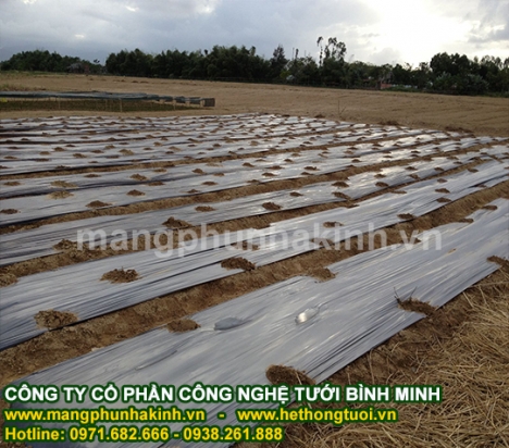 Màng phủ nông nghiệp, màng phủ sinh học, màng nilon phủ đất