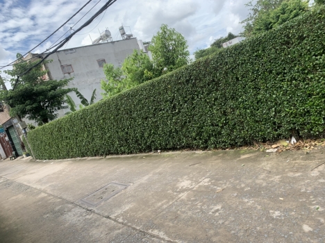 Nhà Nghỉ Dưỡng  Q12, Lê Văn Khương, 444m2, xe Tăng vô nhà, 30tr.m2