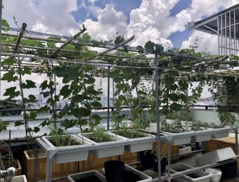 Bán nhà Phường Tân Thới Hiệp, Quận 12- 133 m2- 4 Tầng.Hẻm xe tải thông