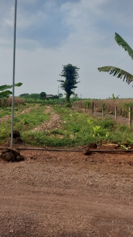 BÁN 1000M ĐÂT TRẢNG BOM ĐỒNG NAI