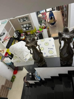 NHÀ KHUÔN VIỆT TÂN PHÚ ĐẸP LUNG LINH  HẺM THÔNG  GIÁ CHỈ CÒN 6 TỶ