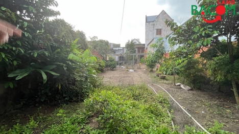 Bán nhà cấp 4,rộng đẹp, xây ở, 370m2, SHR, đường xe hơi thoải mái,Tân Phong, Biên Hoà