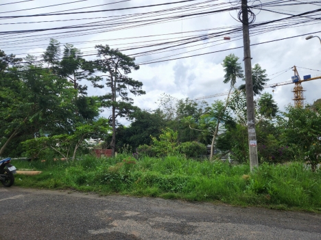cần bán gấp lô đất ở KQH Viện Nghiên cứu hạt nhân, phường 11, TP. Đà Lạt, giá 26 tỷ