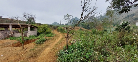 Bán Đất Mộc Châu - View cực đẹp - địa điểm tiềm năng khai thác đầu tư du lịch