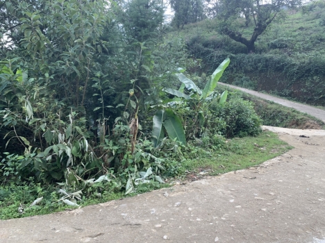 ĐẤT NỀN Y TÝ ( SAPA 2 ) ĐẦU TƯ BIÊN ĐỘ LỢI NHUẬN LUÔN TĂNG