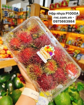 Hộp nhựa đựng trái cây P1000A cao cấp, chất lượng