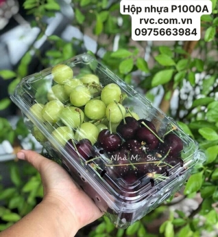 Hộp nhựa đựng trái cây P1000A cao cấp, chất lượng