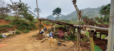 Bán Đất Mộc Châu - View cực đẹp - địa điểm tiềm năng khai thác đầu tư du lịch