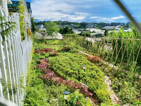 Cần bán lô đất view đẹp trên đường Ngô Tất Tố, Phường 8, TP. Đà Lạt, giá 12 tỷ