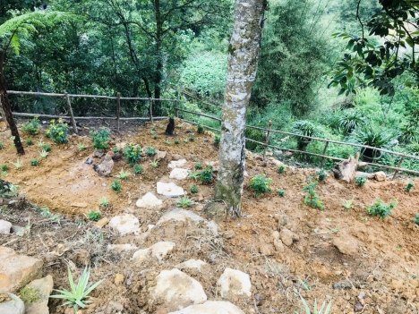 Tả Phìn- Sapa. đón sóng quy hoạch hạ tầng, dự án của các chủ đầu tư lớn, tiềm năng tăng giá cao