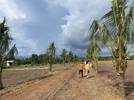 Đất vườn sinh thái Cẩm Mỹ, liền kề Sân bay Long Thành, Sổ hồng sẵn