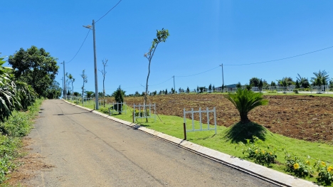 ĐẤT NÊN TRUNG TÂM GIA RẺ