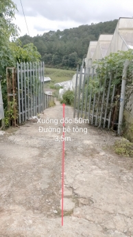 Cần bán gấp đất giá rẻ 800 triệu đường Nguyễn Đình Quân, Đà Lạt