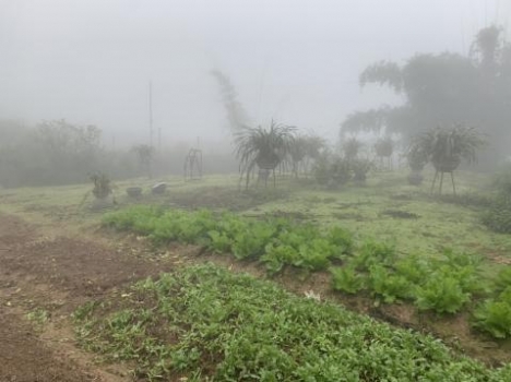 Sapa- mảnh đất tại Suối Thầu -Tả Phìn