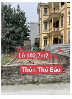 Bán đất Thố Bảo Vân Nội Đông Anh – 102.7m Trục chính – Giá rẻ