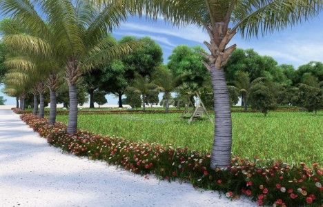 Cần bán đất Xuân Tây, Cẩm Mỹ 1 sào sổ hồng riêng giá cực rẻ đường vô thông thoáng