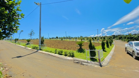 ĐẤT NÊN FULL THỔ GIÁ CỰC RẺ