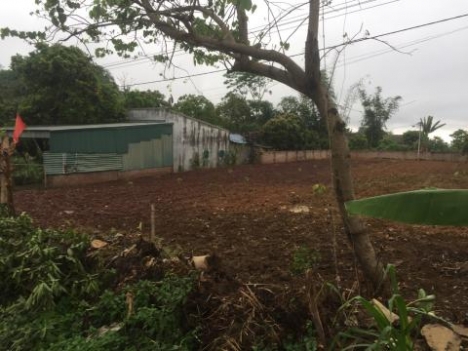 Bán đất  Mộc Châu giá rẻ thích hợp đầu tư kinh doanh sinh lời