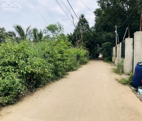 CHÍNH CHỦ CẦN BÁN NHANH LÔ ĐẤT MẶT TIỀN ĐƯỜNG BÊ TÔNG NGAY SÔNG TRẦU - TRẢNG BOM - ĐỒNG NAI