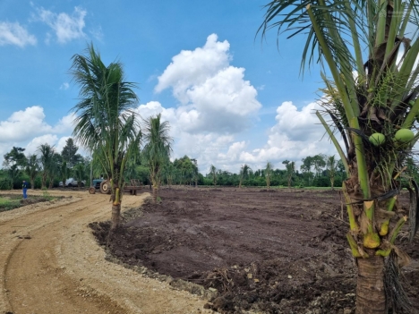 Cần bán đất Xuân Tây, Cẩm Mỹ 1 sào sổ hồng riêng giá cực rẻ đường vô thông thoáng