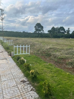 ĐẤT NÊN FULL THỔ GIÁ CỰC RẺ