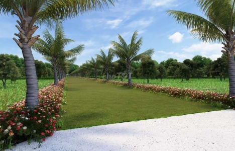 Cần bán đất Xuân Tây, Cẩm Mỹ 1 sào sổ hồng riêng giá cực rẻ đường vô thông thoáng