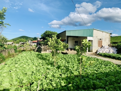 CẦN BÁN MẢNH ĐẤT GẦN TRUNG TÂM QUY HOẠCH LÕI MỘC CHÂU