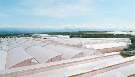 Lô đất 110 triệu/xào 170m tiền đường
