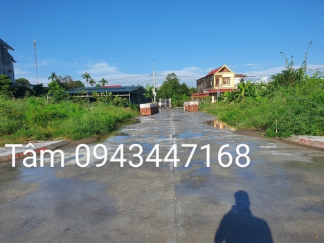 Đấu giá Vọng Hải Hưng Đạo Dương Kinh HP . đã có giá ,