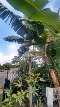 ĐẤT VƯỜN VIEW CỰC ĐẸP BÀU HÀM 2 THỐNG NHẤT ĐỒNG NAI 500 nửa sào