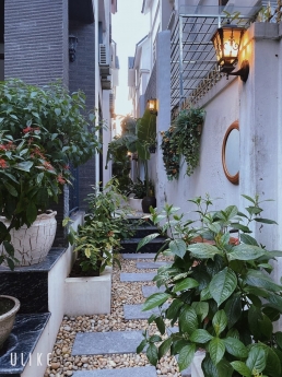 BIỆT THỰ SÂN VƯỜN ĐƯỜNG CẦU GIẤY - SIÊU RẺ - 190M2 4T MT 10M -GARA - GIÁ CHỈ 35 TỶ