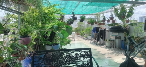 CHDV MẶT TIỀM T LÔ GÓC 8 TẦNG BỀ THẾ