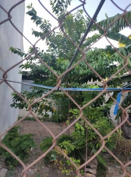Đất nền khu dân cư đối diện GO Dĩ An