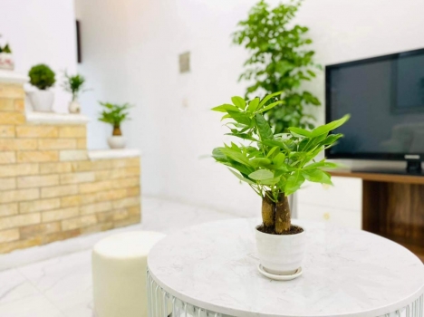 CẦN TIỀN BÁN GẤP HẠ CHÀO   15O TRIỆU NHÀ   -5 TẦNG 38M2( MỚI XÂY ) YÊN NGHĨA -HÀ ĐÔNG -FULL NỘI