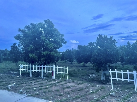 BÁN ĐẤT SÀO VIEW HỒ TRỊ AN, xã LA NGÀ huyện ĐỊNH QUÁN tỉnh ĐỒNG NAI.