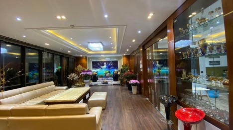 Lô góc phân lô, trong lòng phố kinh doanh, xe tải tránh, 85m2, giá cực tốt