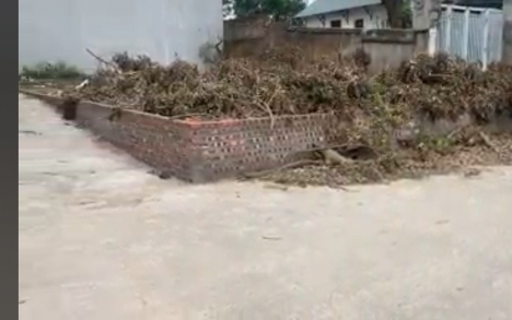 Chủ bán lô góc Cổ Dương, Đông Anh, ô tô, thoáng,~60m2, nhỉnh 2 tỷ