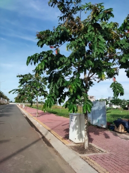 Bán Đất Nền Thủ Thừa Full Thổ Cư Có Sổ