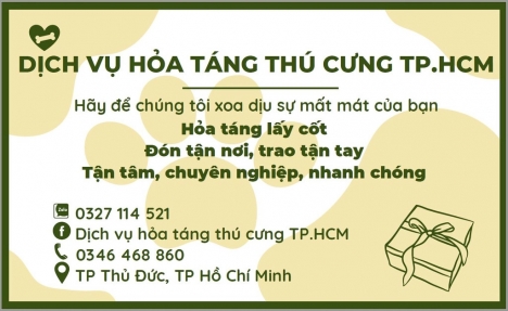 Dịch vụ hỏa táng thú cưng Tp.HCM