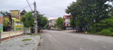 Cần bán đất Thụy Lâm, Đông Anh, ô tô, kinh doanh, giá nhỉnh 3 tỷ