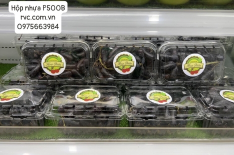Công ty phân phối hộp nhựa đựng nho tươi trên toàn quốc