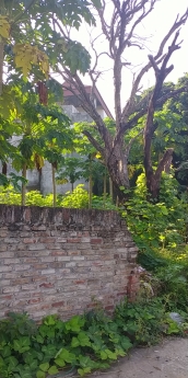 Chủ bán 103m Đ Cầu Cả, Cổ Loa, ô tô, chia lô, giá đầu tư, nhỉnh 3 tỷ