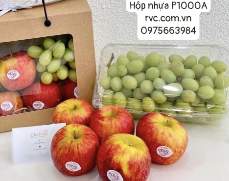 Công ty phân phối hộp nhựa đựng nho tươi trên toàn quốc
